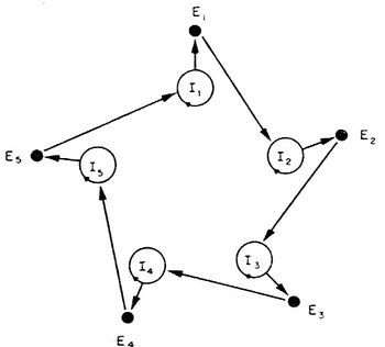 Self-reproducing hypercycle of second degree,